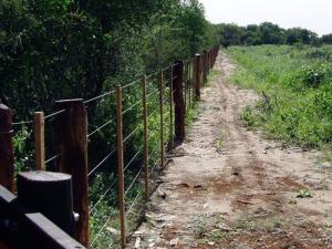   Alambre ovalado, con revestimiento de zinc  